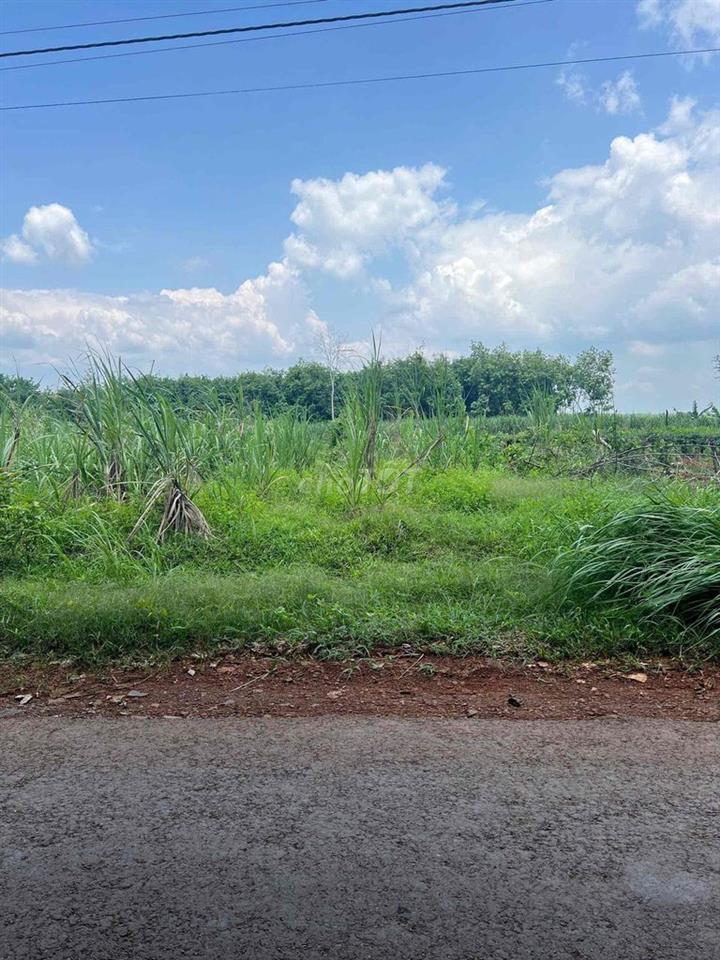 490 TRIỆU SỞ HỮU 300M² ĐẤT LONG HÀ – GIÁ NGỘP KHÓ TÌM!