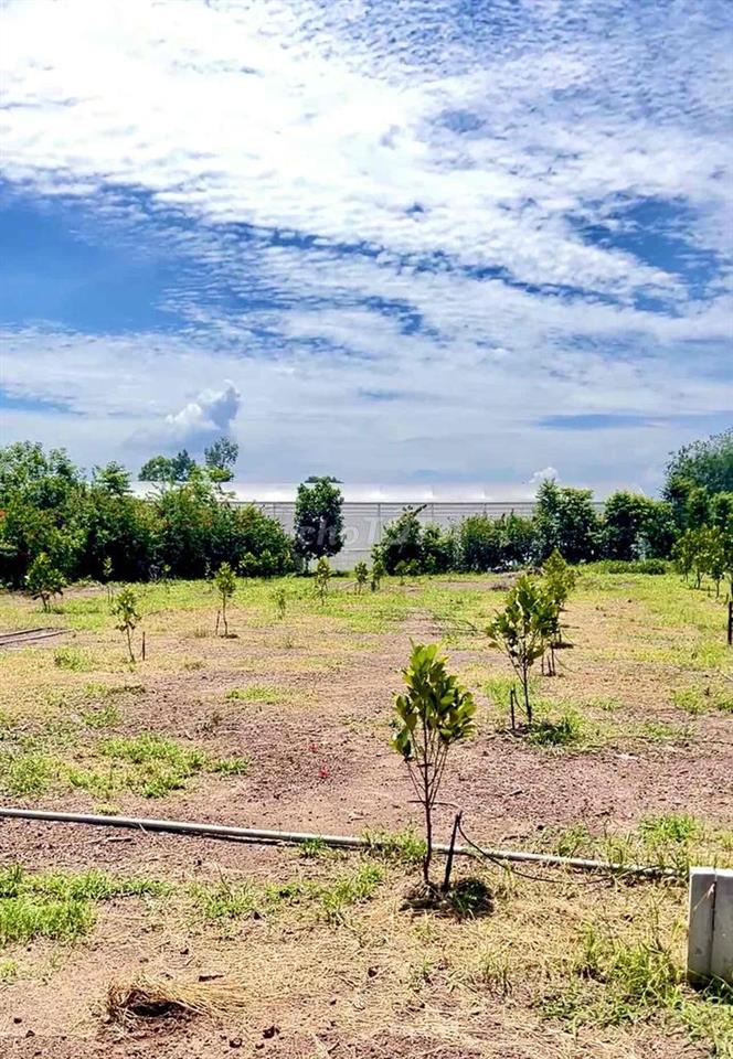 🔥 ĐẤT TRUNG TÂM PHÚ GIÁO – CÁCH CHỢ 200M, GIÁ CHỈ 750 TRIỆU!