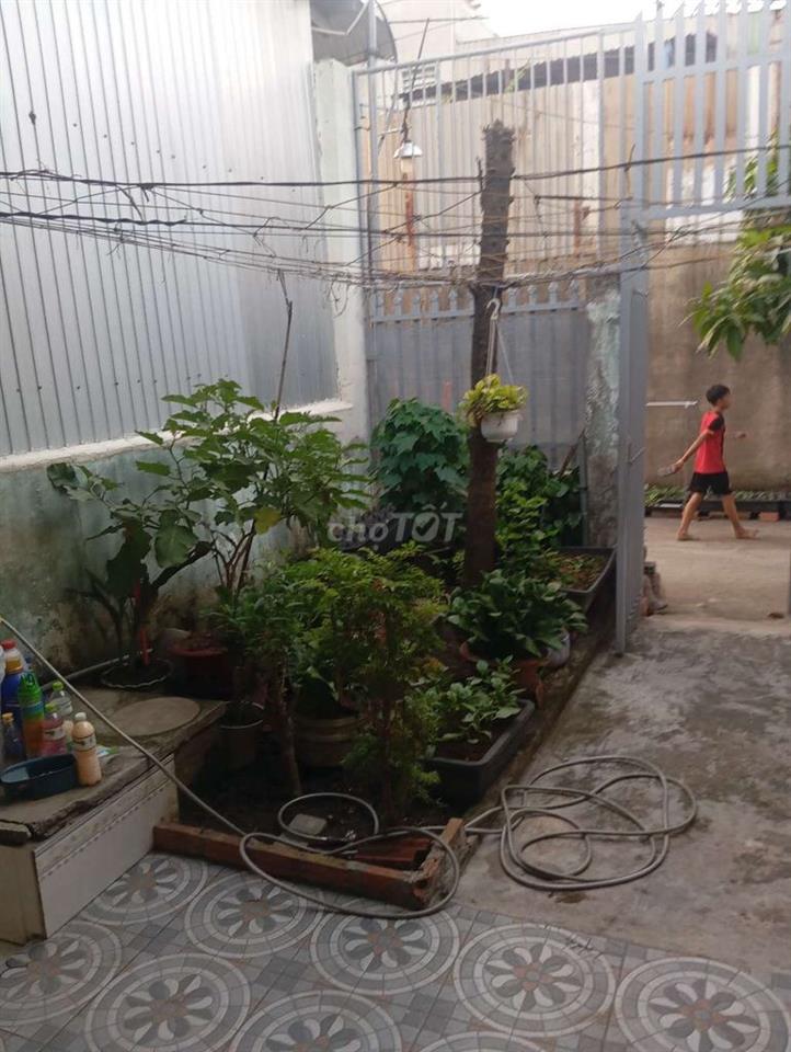 nhà cho thuê