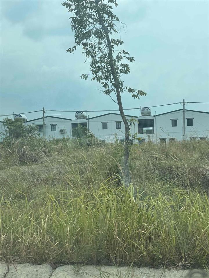 Lô đất 5x30 full thổ cư KCN Bàu Bàng, TP. HCM