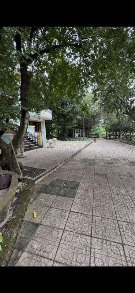 KẸT TIỀN BÁN GẤP