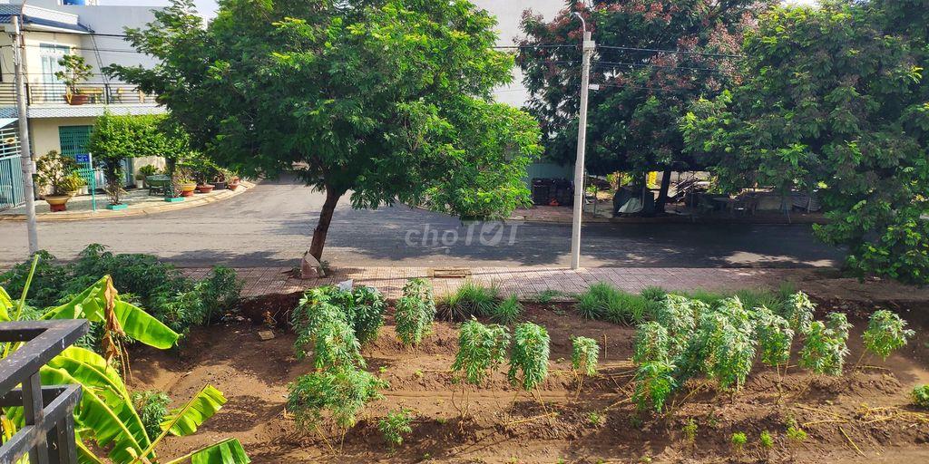 Nhà mới, cho thuê nguyên căn - Khu dân cư Phát Hải