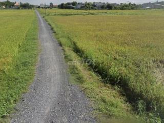 Ban dat duc hoa long an chinh chu ***