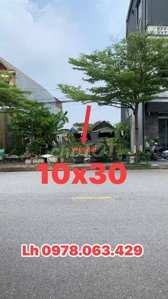 CHỈ 230 TRIỆU  SỞ HỮU NGAY 300M² ĐẤT – BÀ RỊA VŨNG TÀU