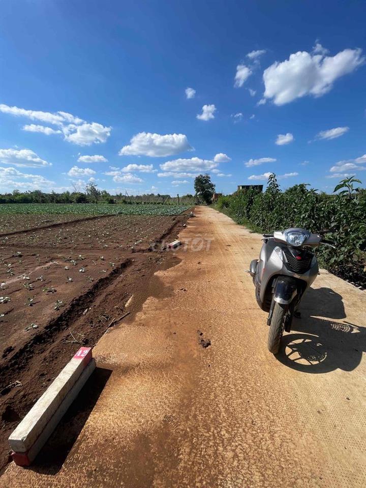 Chính chủ cần tiền xây nhà bán đất F0