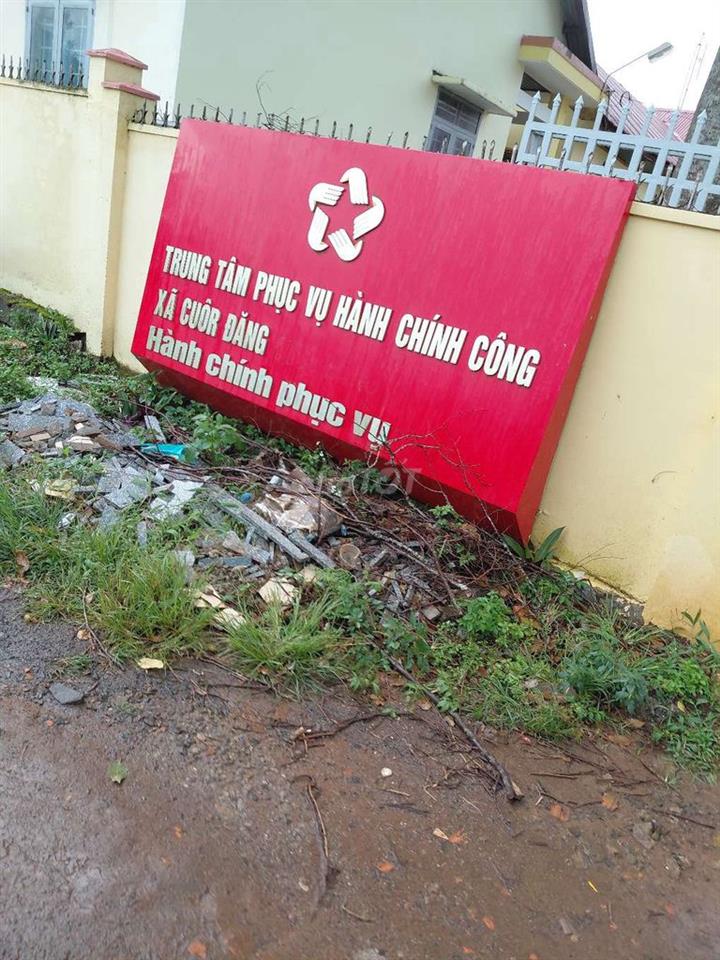 cần bán gấp cắt lỗ