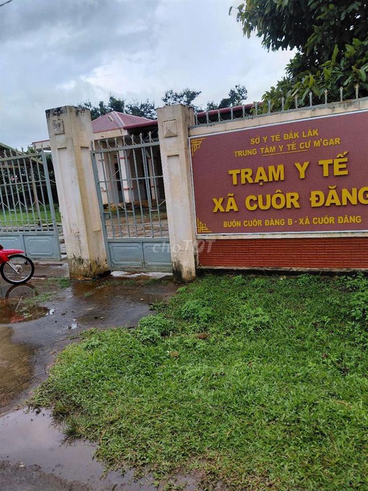 cần bán gấp cắt lỗ