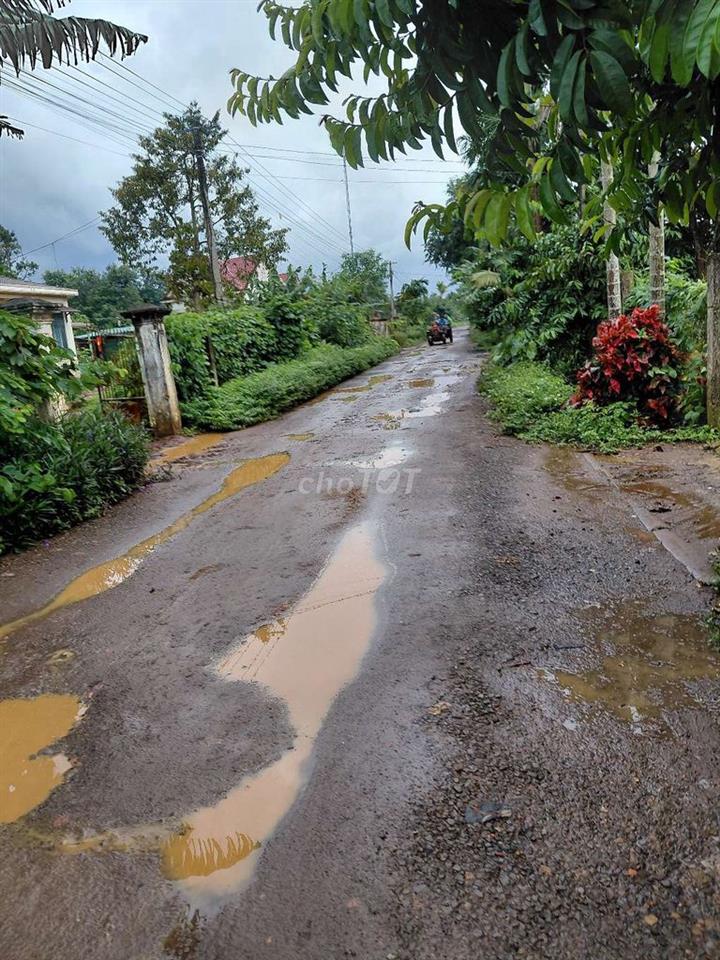 cần bán gấp cắt lỗ