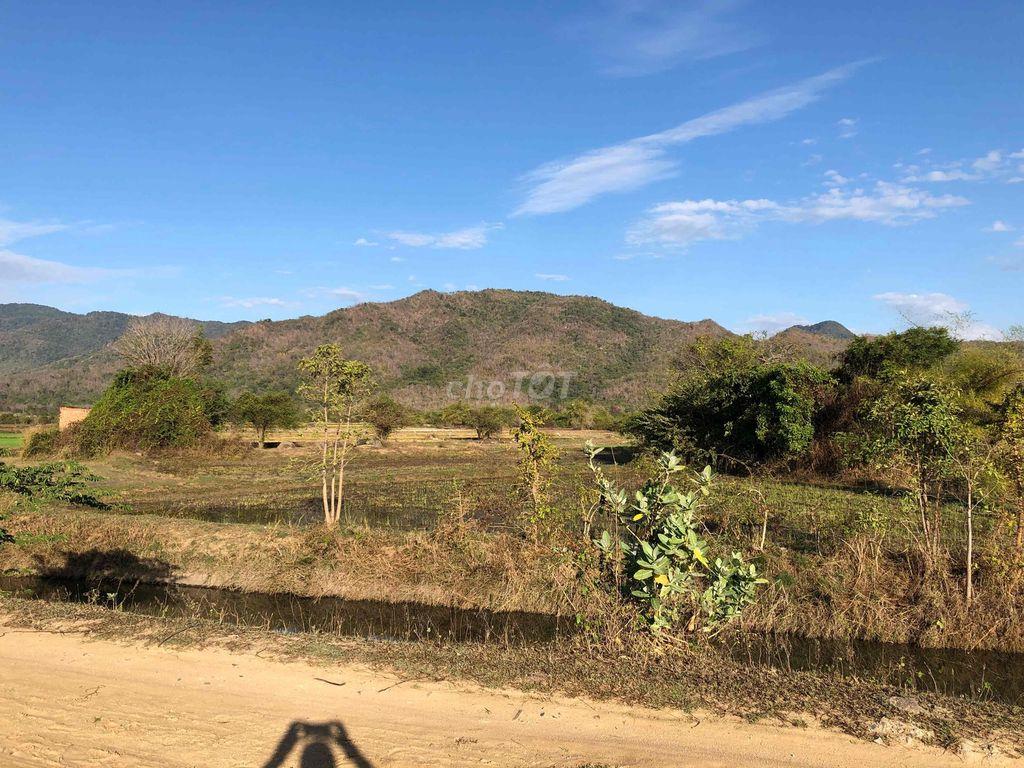 Bán đất Mặt Tiền Bờ Kênh