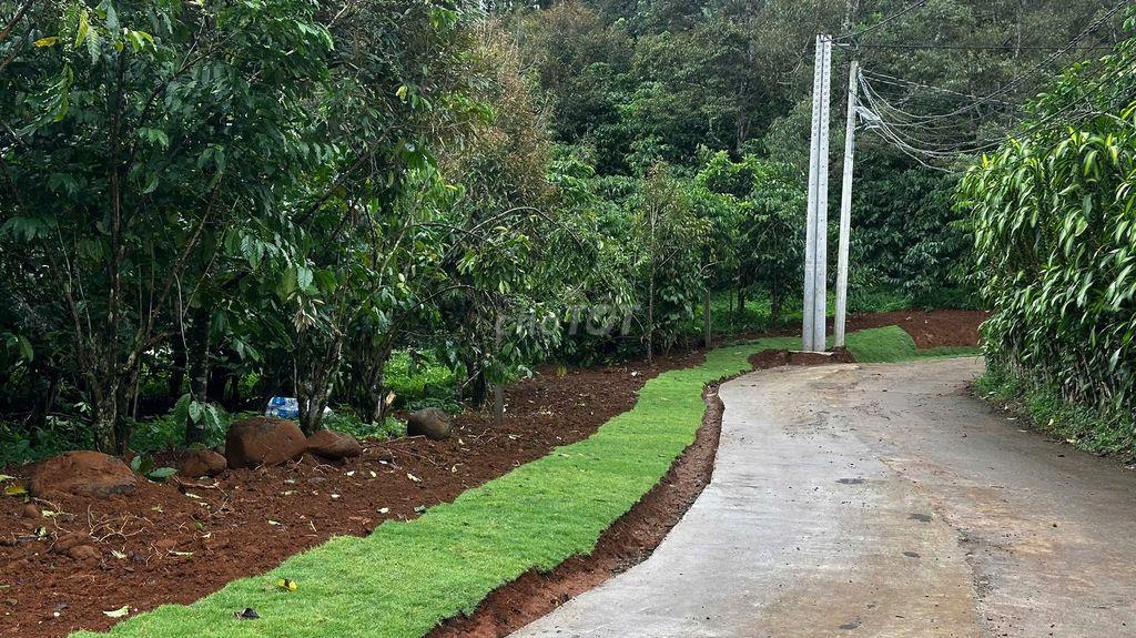 549m2 MỘT MẢNH VƯỜN NHỎ GIỮA BẢO LỘC, SẴN CÂY TRÁI