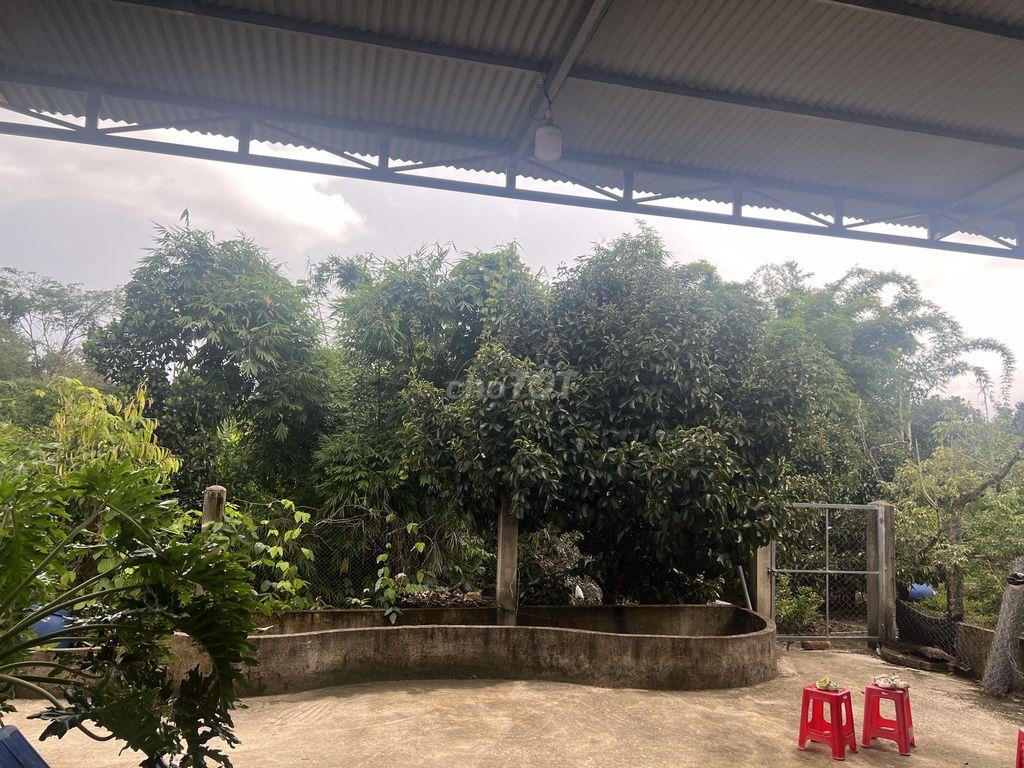 BÁN NHÀ ĐẤT CHÍNH CHỦ SỔ HỒNG