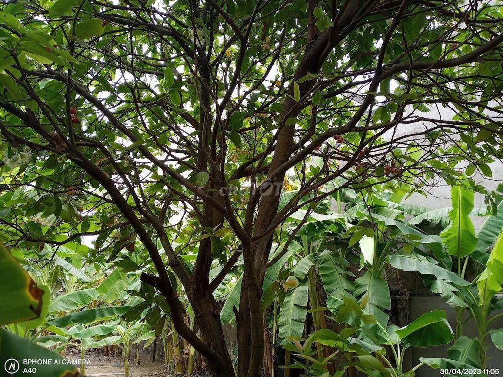 Cho Thuê Nhà làm văn phòng công ty + kho xưởng, kinh doanh...