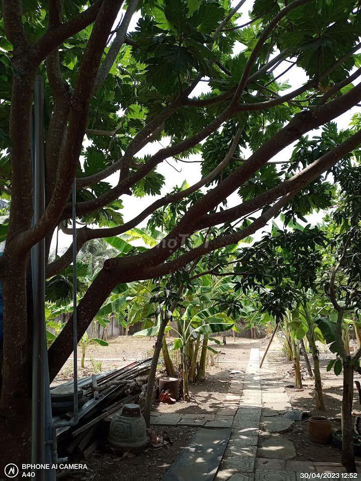 Cho Thuê Nhà làm văn phòng công ty + kho xưởng, kinh doanh...