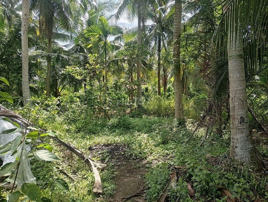 BÁN NHÀ ĐẤT GIÁ RẺ