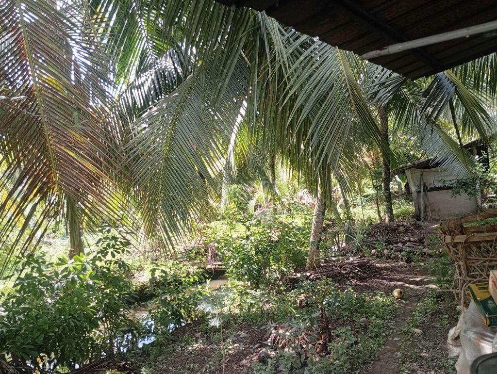 BÁN NHÀ ĐẤT GIÁ RẺ