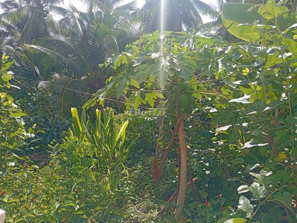 BÁN NHÀ ĐẤT GIÁ RẺ