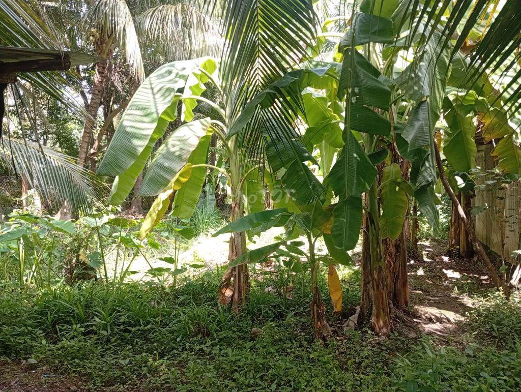 BÁN NHÀ ĐẤT GIÁ RẺ