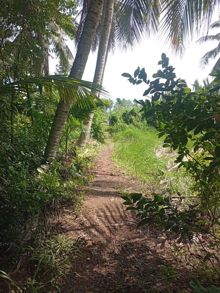 BÁN NHÀ ĐẤT GIÁ RẺ