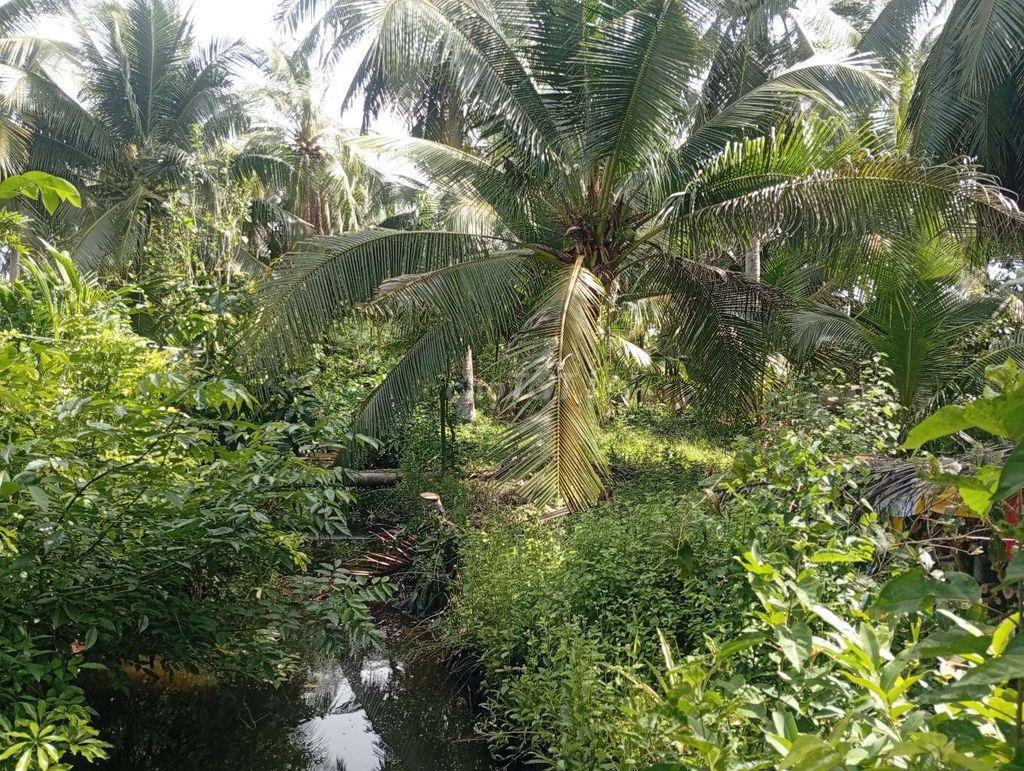 BÁN NHÀ ĐẤT GIÁ RẺ