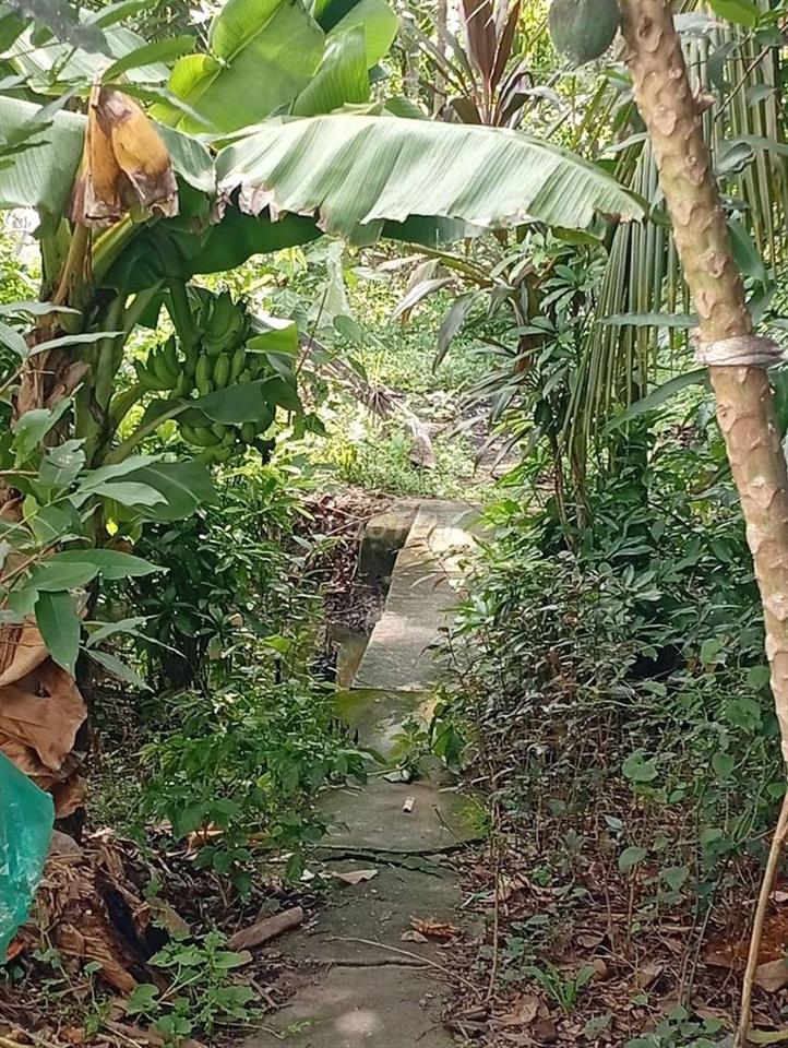 BÁN NHÀ ĐẤT GIÁ RẺ