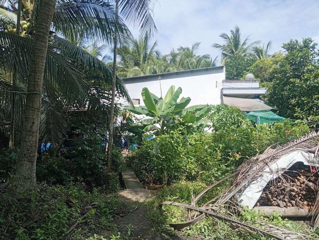 BÁN NHÀ ĐẤT GIÁ RẺ