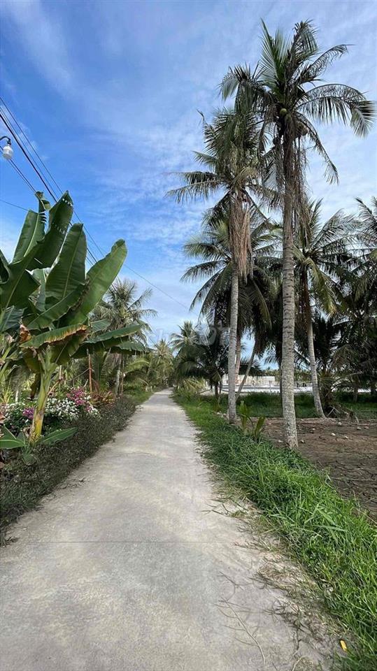 🌿 ĐẤT THỔ CƯ – GẦN CHỢ, GẦN TRƯỜNG 🌿