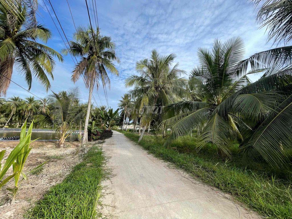 🌿 ĐẤT THỔ CƯ – GẦN CHỢ, GẦN TRƯỜNG 🌿