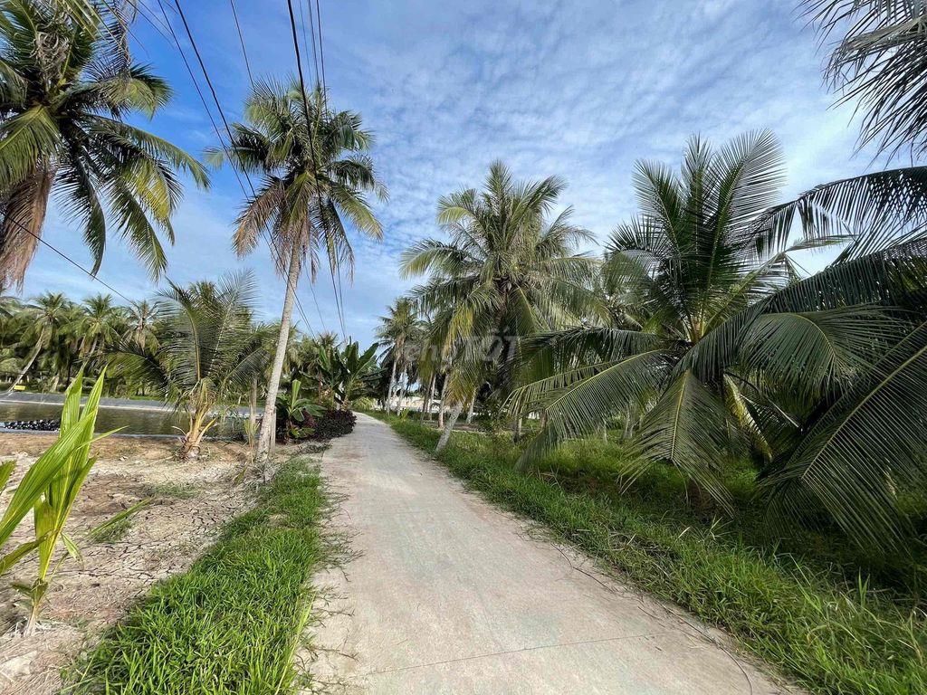 🌿 ĐẤT THỔ CƯ – GẦN CHỢ, GẦN TRƯỜNG 🌿