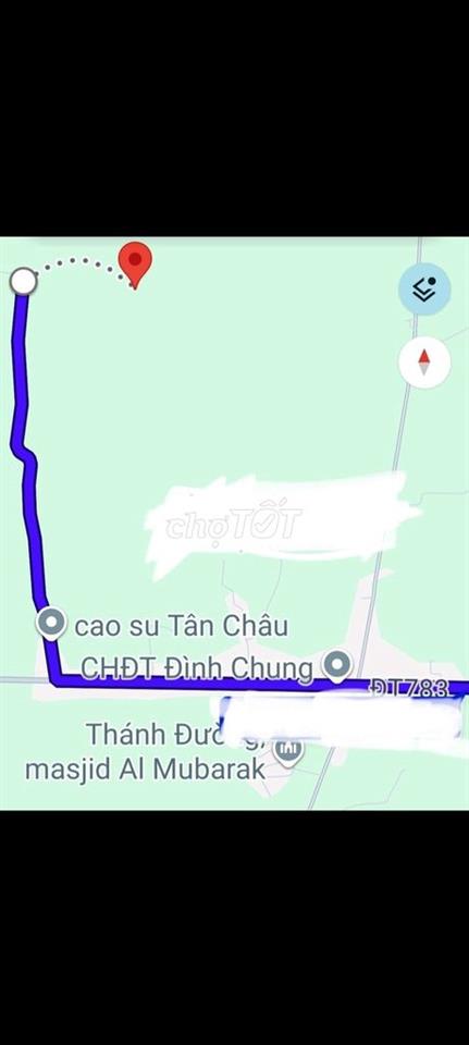 đất nông nghiệp trồng cây lâu năm phân lô