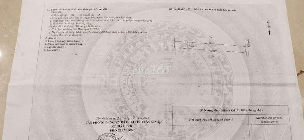 đất nông nghiệp trồng cây lâu năm phân lô