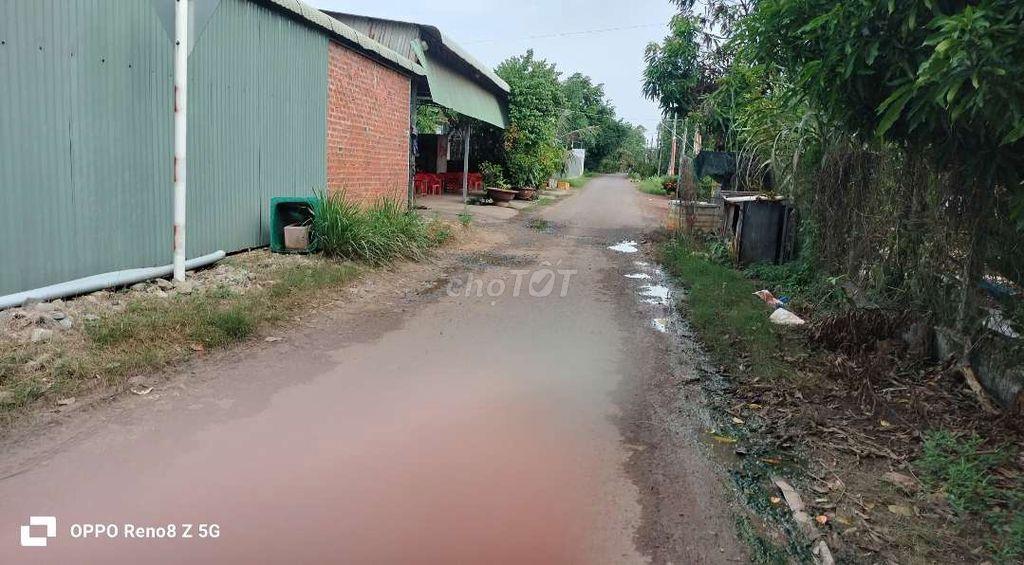 đất nông nghiệp trồng cây lâu năm đường 10m xe hơi KDC