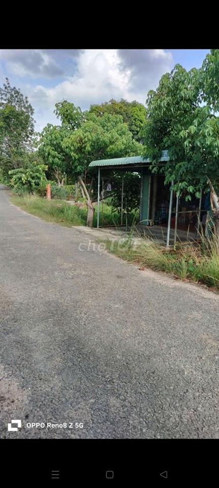 đất nông nghiệp trồng cây lâu năm đường 10m xe hơi KDC