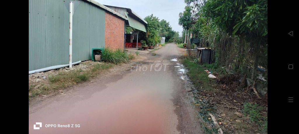 đất nông nghiệp trồng cây lâu năm đường 10m xe hơi KDC