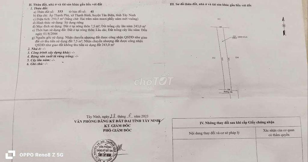 đất nông nghiệp trồng cây lâu năm đường 10m xe hơi KDC