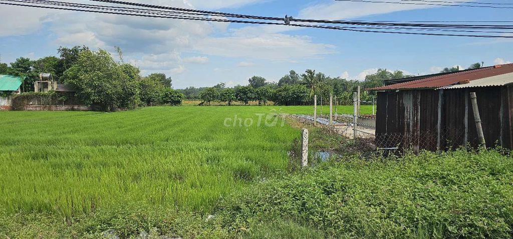 ĐẤT Ở SÂN VƯỜN