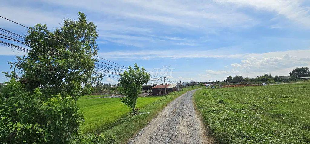 ĐẤT Ở SÂN VƯỜN