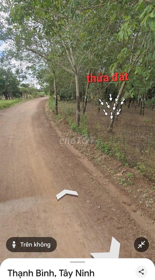 Bán đất cây lâu năm + 100 thổ cư Thạnh Bình, Tân Biên, Tây Ninh