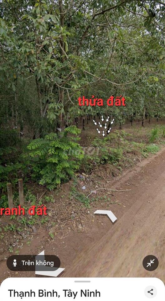 Bán đất cây lâu năm + 100 thổ cư Thạnh Bình, Tân Biên, Tây Ninh
