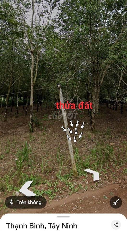 Bán đất cây lâu năm + 100 thổ cư Thạnh Bình, Tân Biên, Tây Ninh