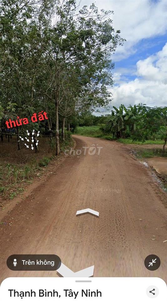 Bán đất cây lâu năm + 100 thổ cư Thạnh Bình, Tân Biên, Tây Ninh