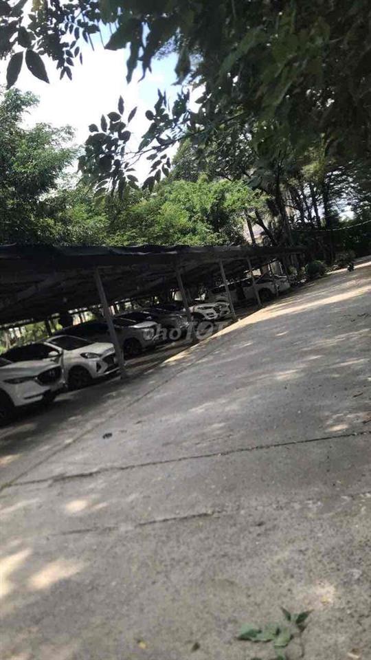 cần bán