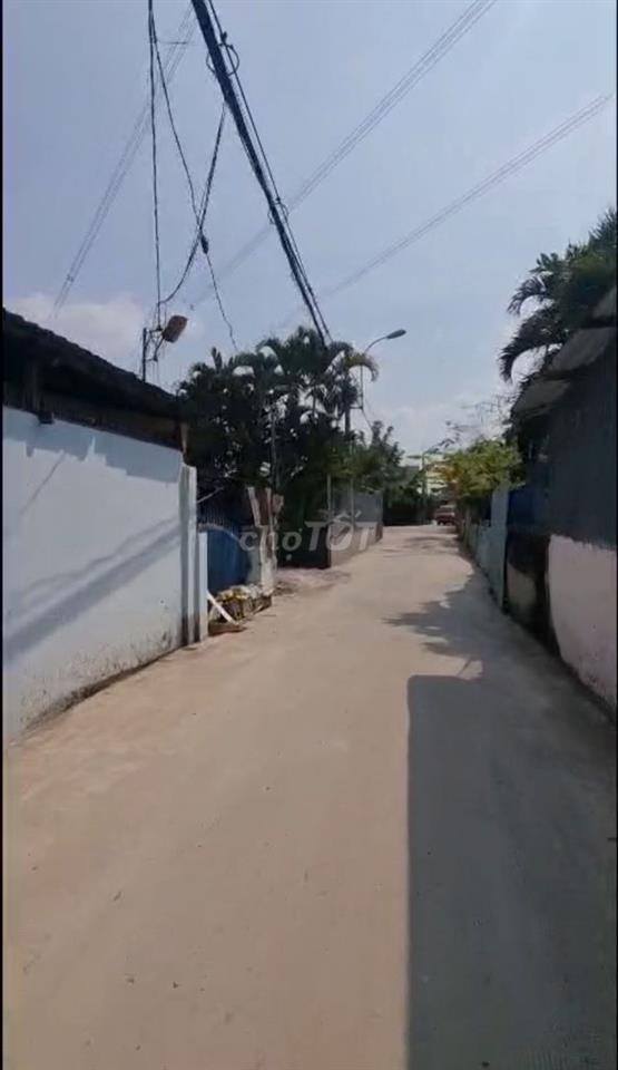 Cho thuê nhà nguyên căn khu vực quận 7, nhà bè