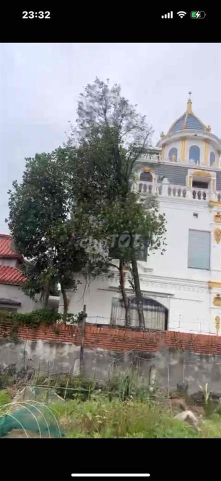 cần bán đất chuẩn bị làm khu công nghiệp sạch khu lâp tri sóc sơn .