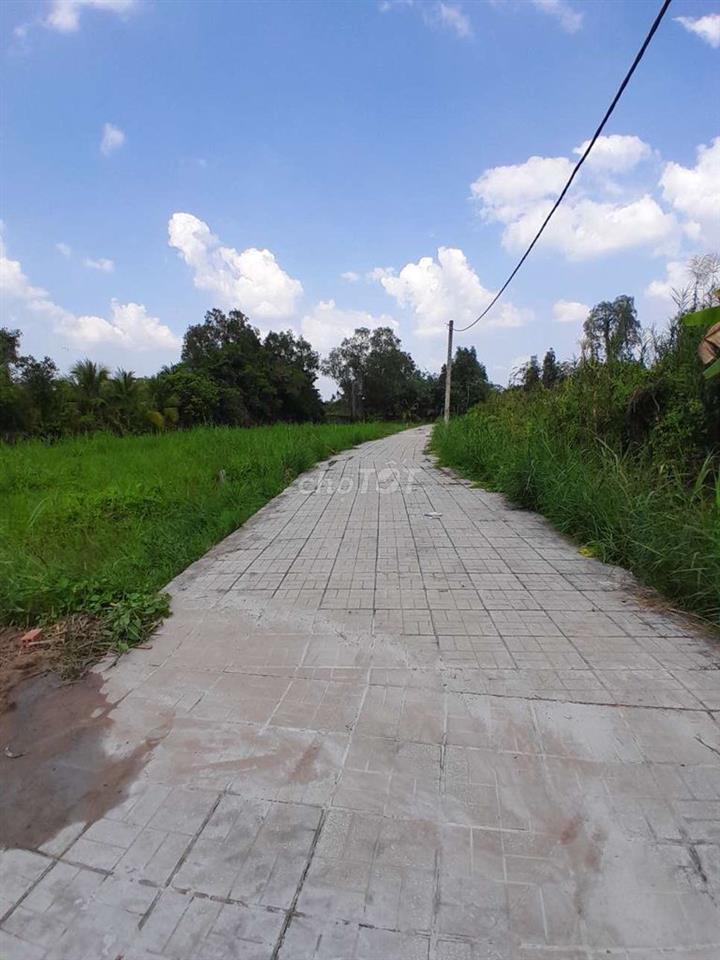 cần bán miếng đất cây lâu năm