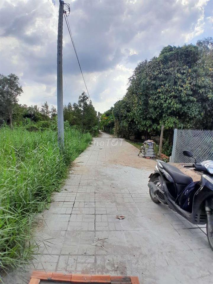 cần bán miếng đất cây lâu năm