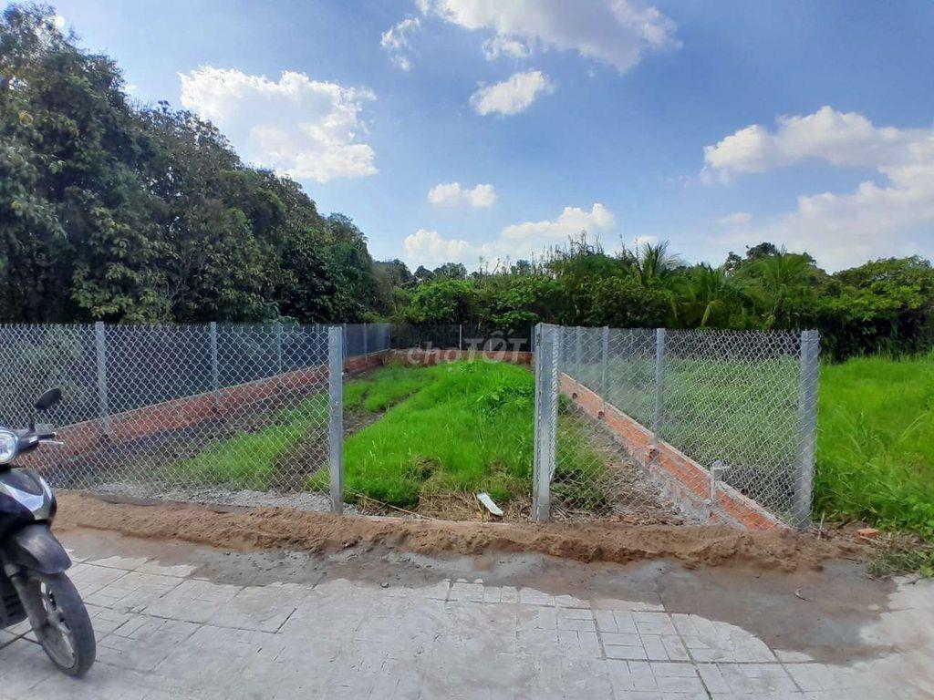 cần bán miếng đất cây lâu năm