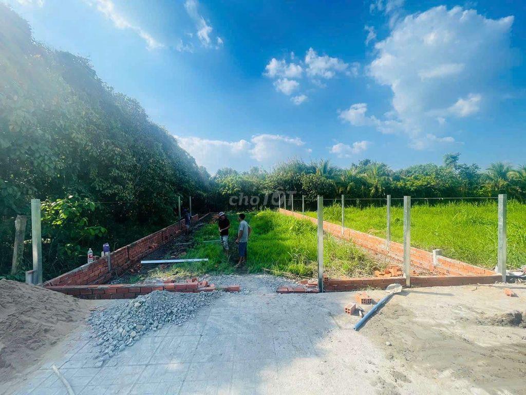 cần bán miếng đất cây lâu năm