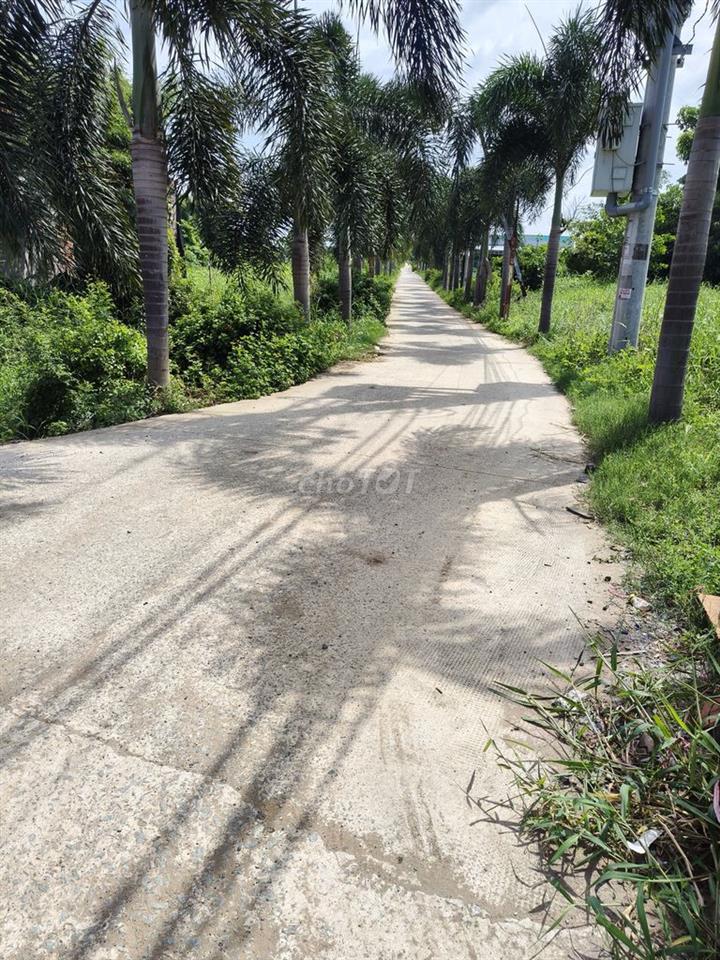 Mình chính chủ bán 2235m2 có sẵn 367m2 thổ cư thuộc Mỹ Lộc , Cần Giuộc