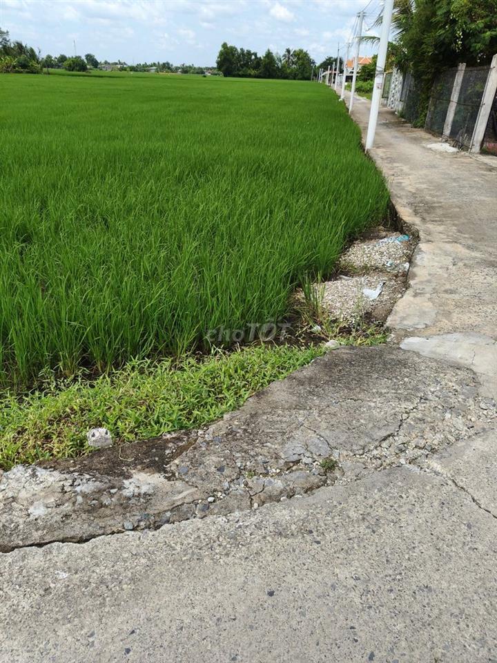 Mình chính chủ bán 2235m2 có sẵn 367m2 thổ cư thuộc Mỹ Lộc , Cần Giuộc