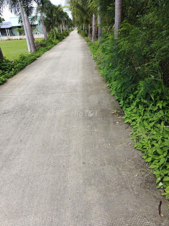 Mình chính chủ bán 2235m2 có sẵn 367m2 thổ cư thuộc Mỹ Lộc , Cần Giuộc